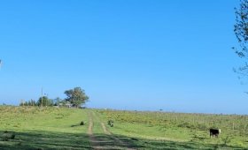 85 ha. Agrícolas en Cnia. Elía